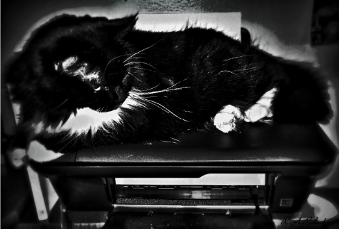 Now, where is that mouse?