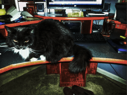 Loki - A Fashionable Accessory for Your Desk 